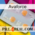 Avaforce 24